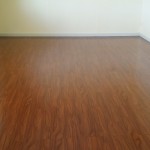 Vinyl Buffing - Finished Product