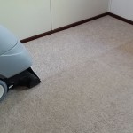 Damel Carpet shampoo machine